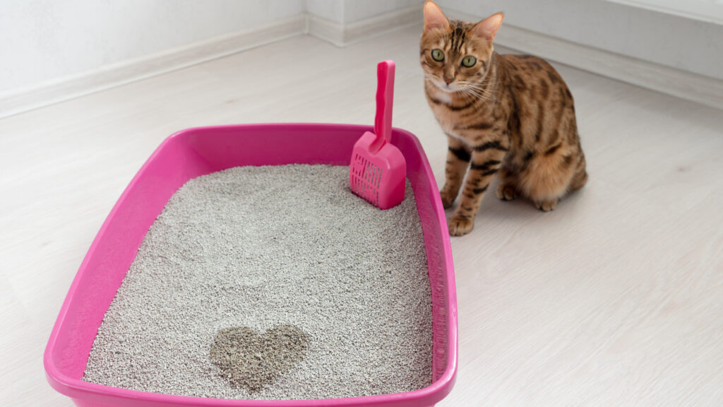 鉱物系猫砂(ベントナイト猫砂)の捨て方は？