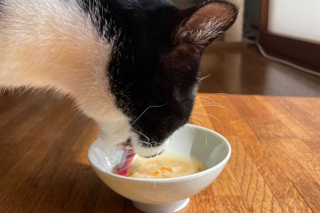 猫にチュール入り猫スープ　実食