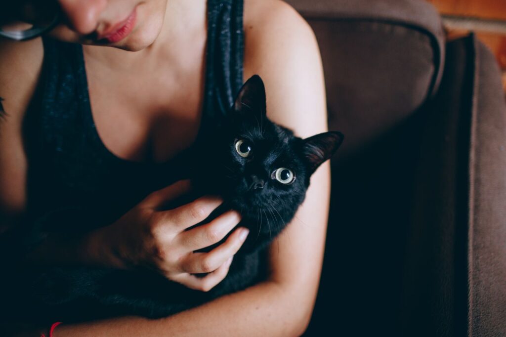  黒猫を飼っている人の割合は？