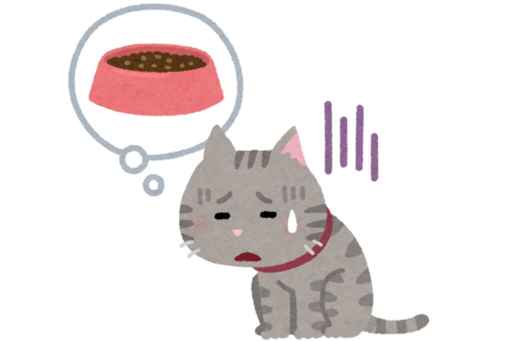 猫ニキビができるのは食器の素材のアレルギーの可能性がある