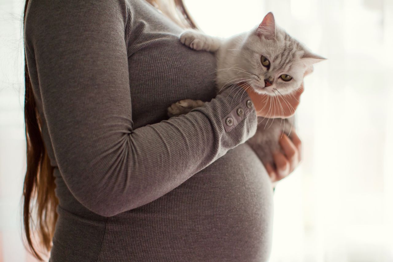 飼い主の妊娠と猫のお話「人間よりも先に赤ちゃんに気づいた猫」