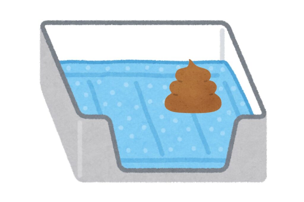 猫トイレの1日の掃除頻度【1日1〜2回】