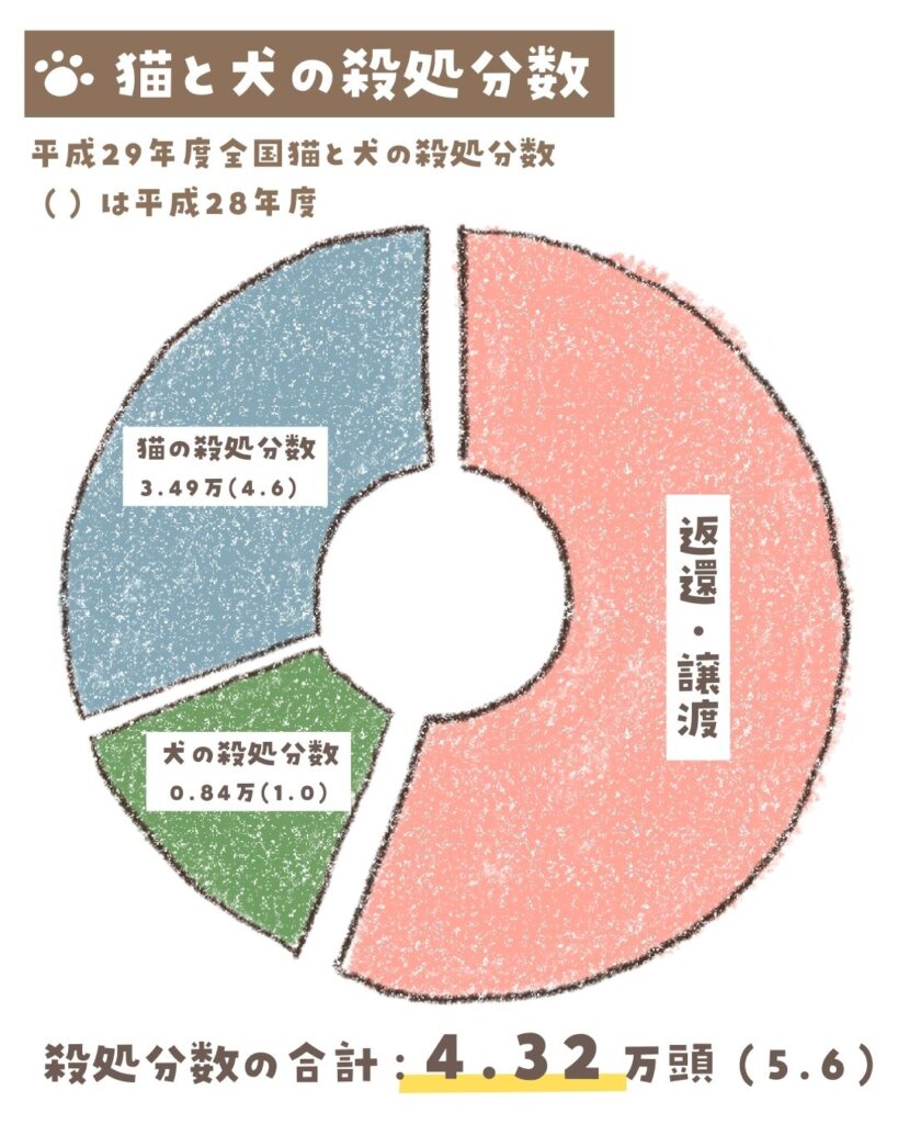   猫は犬に比べて殺処分数が多い