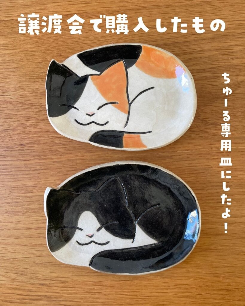 保護猫譲渡会で購入したもの