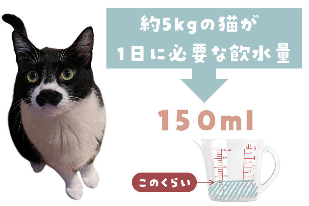   猫が1日に必要な引水量は「体重1kgあたり約30ml」