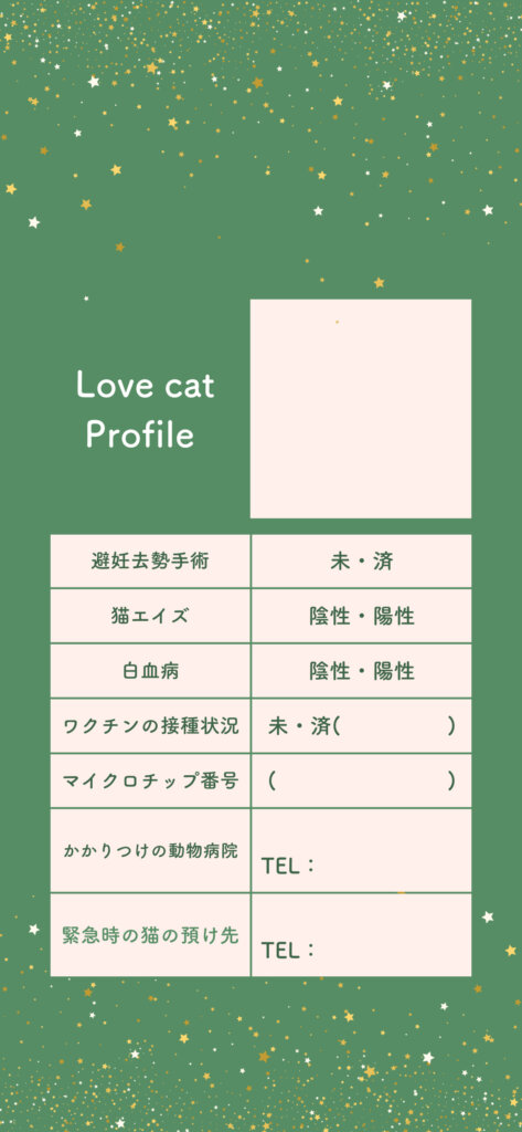 猫と防災ロック画面　緑　キラキラ
