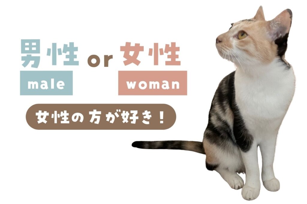   猫は男性よりも女性の方が好き！