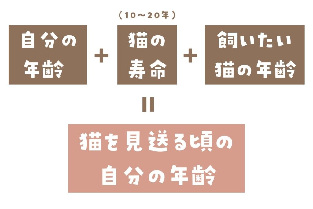   猫を飼うときは「最期」までお世話できるか考えておく