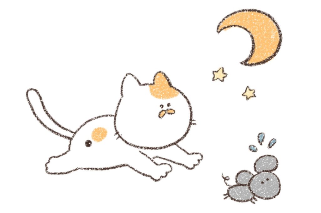 猫は薄明薄暮性
