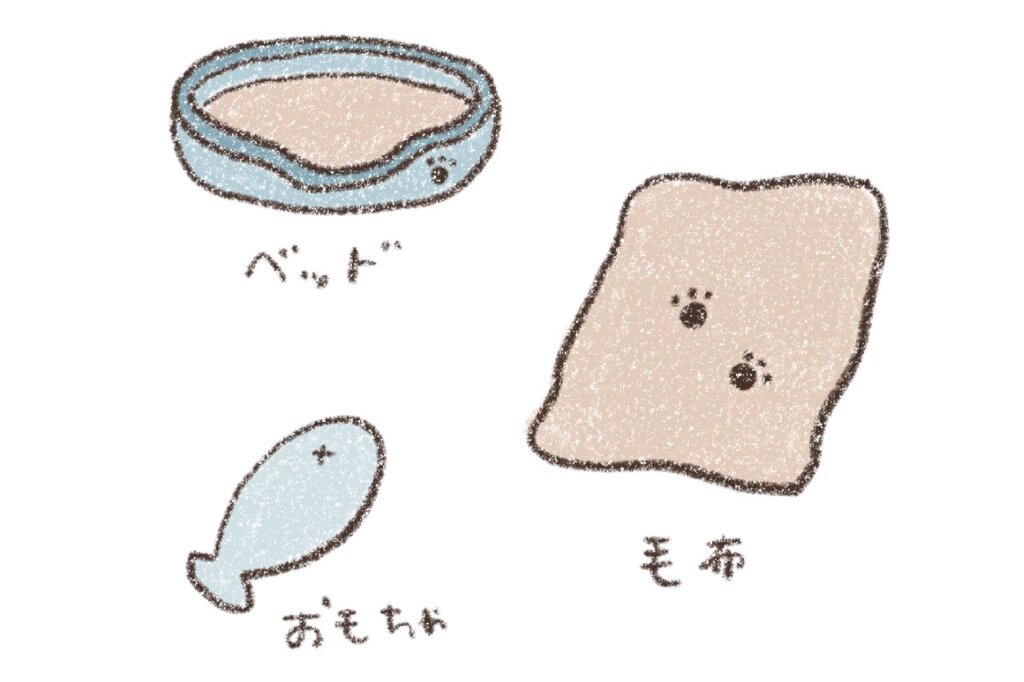 猫が使うアイテムには柔軟剤を使わない
