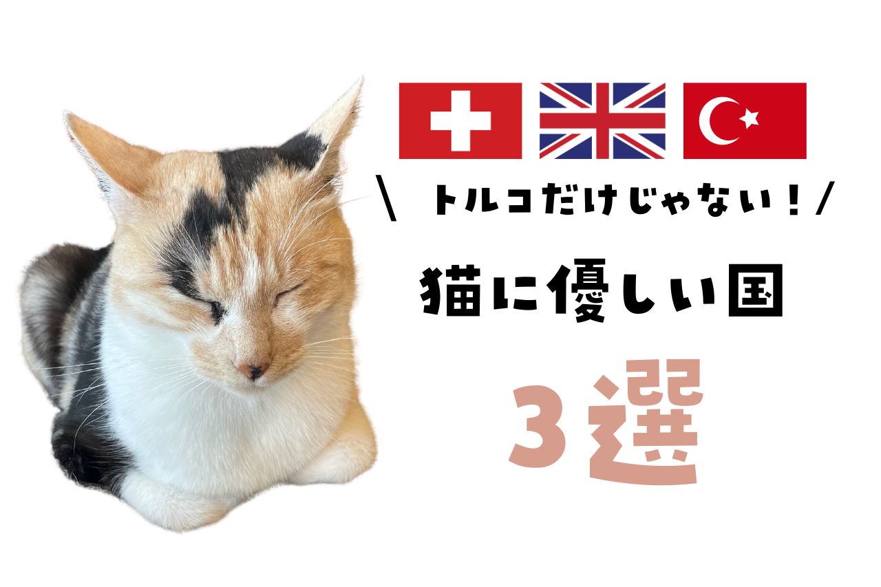 【トルコだけじゃない】猫に優しい国はほかにもあった!
