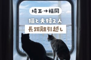 【埼玉から福岡】猫2匹と長距離のお引越し。体験から分かった最適な移動方法・後悔したこと