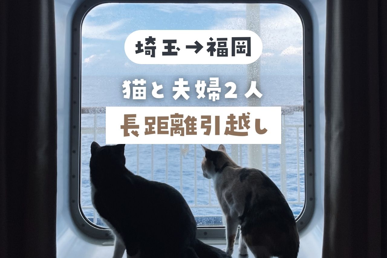 【埼玉から福岡】猫2匹と長距離のお引越し。体験から分かった最適な移動方法・後悔したこと