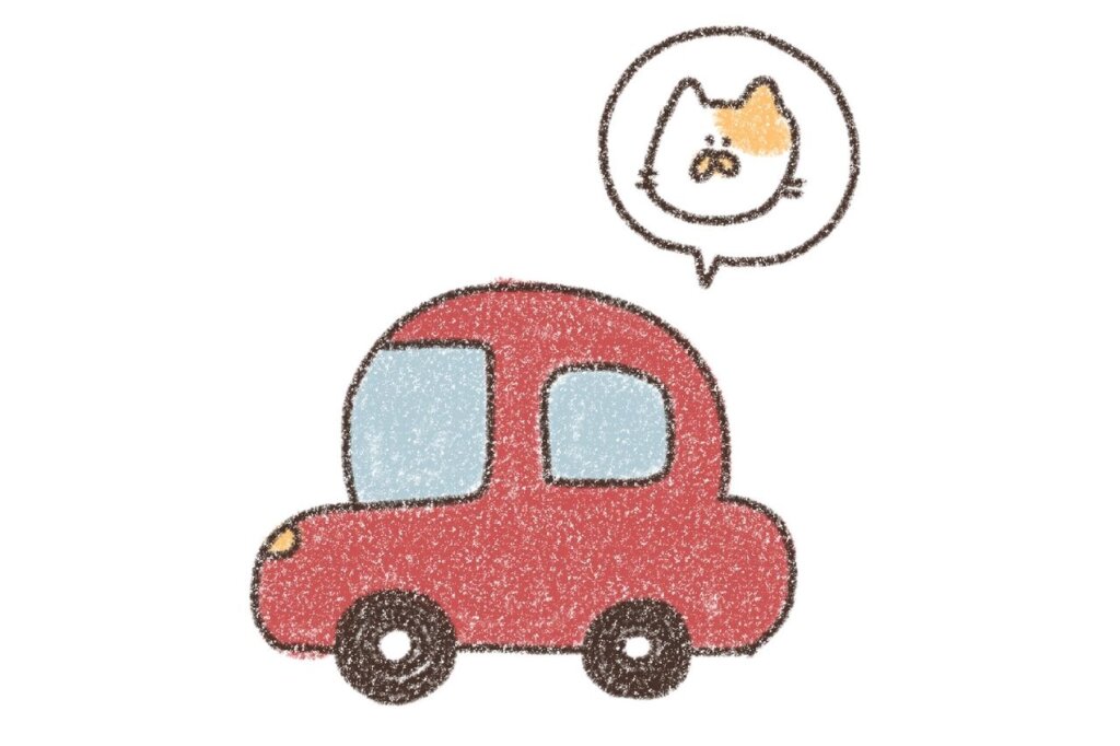 猫と引っ越しするときの移動方法　③車