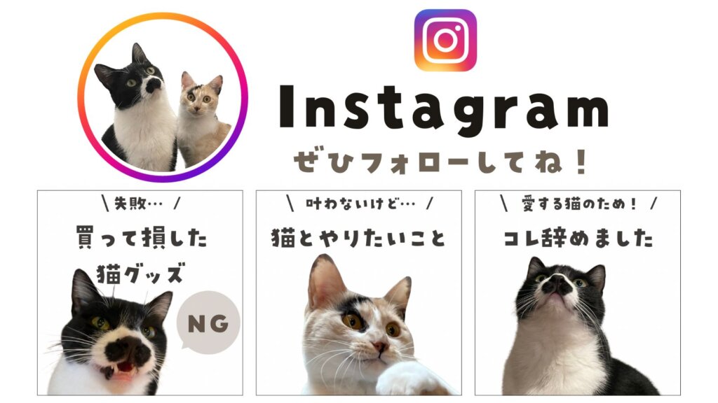 猫の参考書　Instagram
