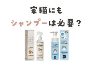 家猫にもシャンプーは必要？必要なケースと選び方を解説