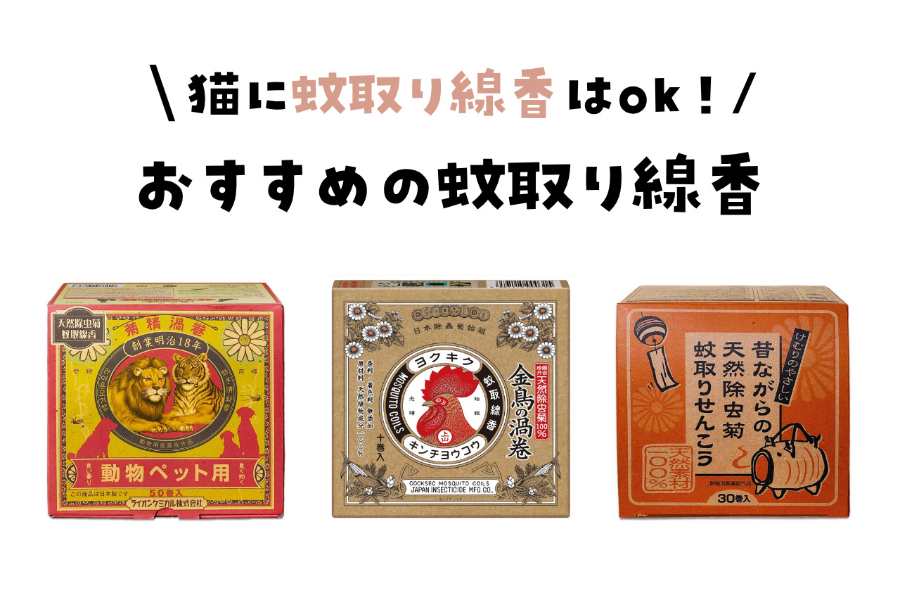 猫に蚊取り線香は平気！注意点・おすすめの蚊取り線香をご紹介