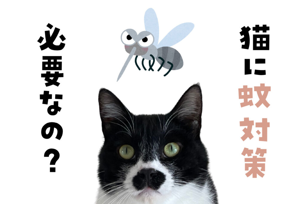 猫にも蚊対策は必要?