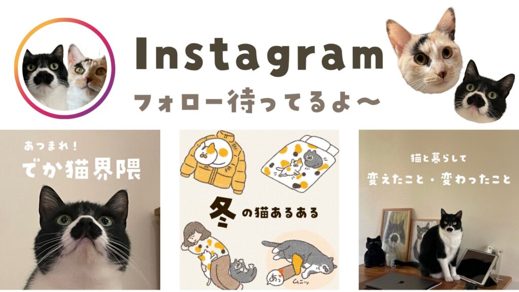 ひげちゃんねる Instagram